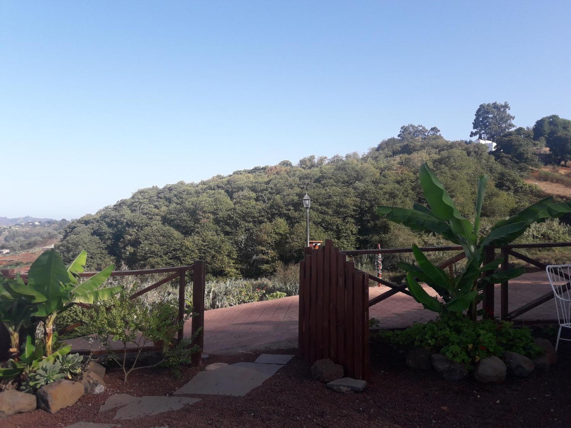 Finca Naturacanaria Moya  Екстер'єр фото
