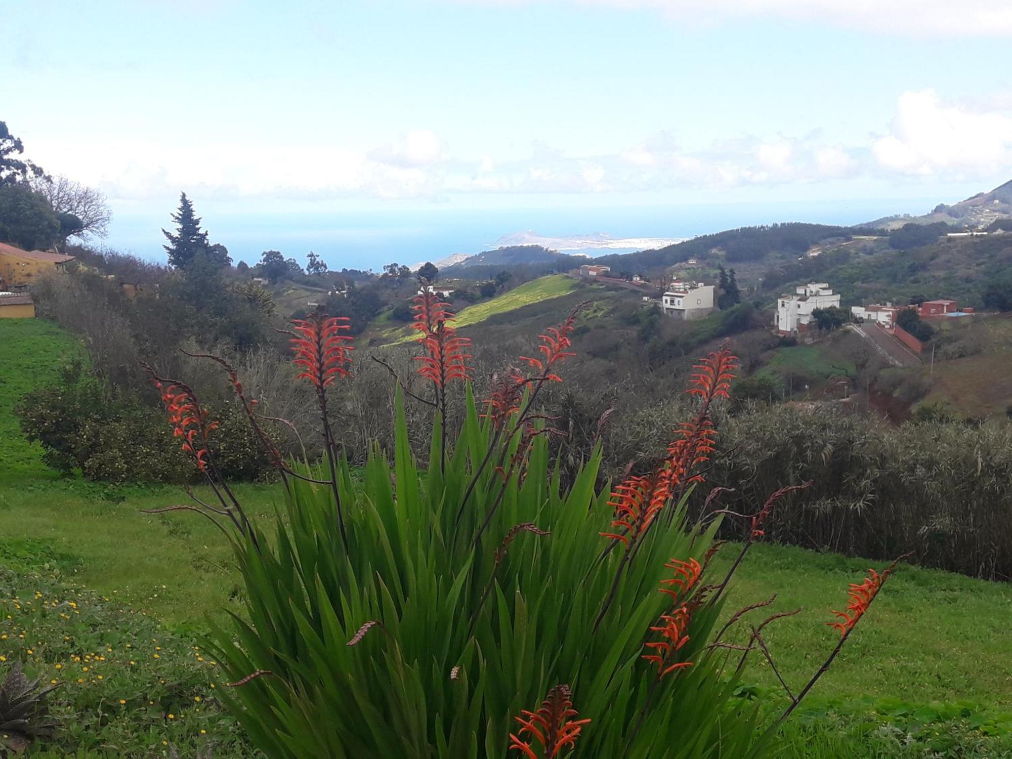 Finca Naturacanaria Moya  Екстер'єр фото