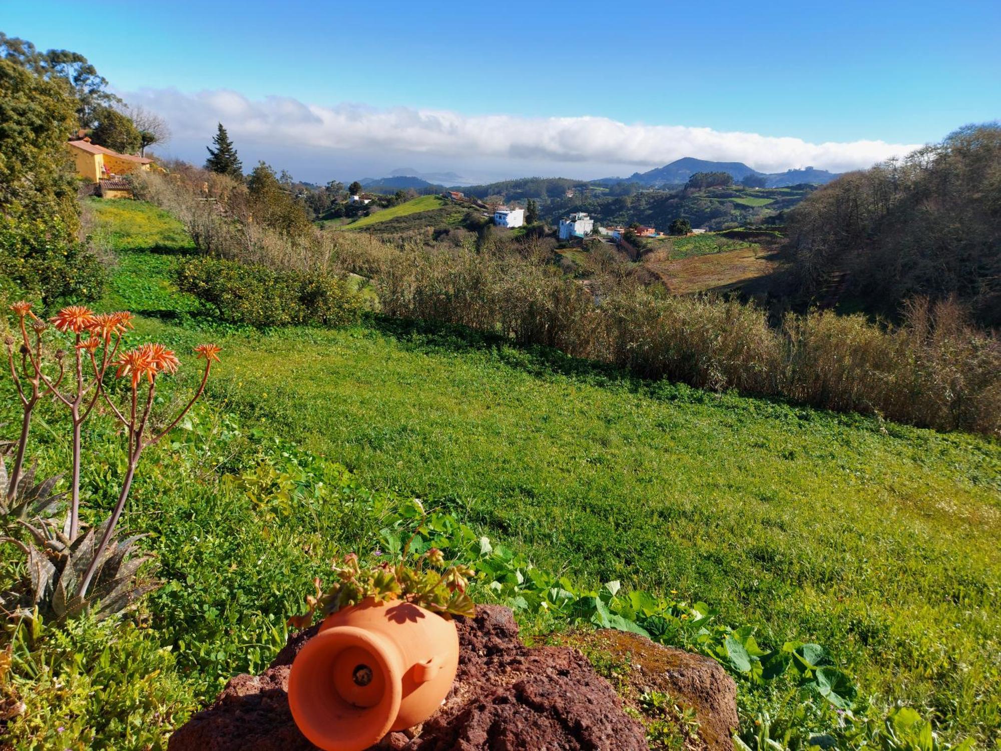 Finca Naturacanaria Moya  Екстер'єр фото