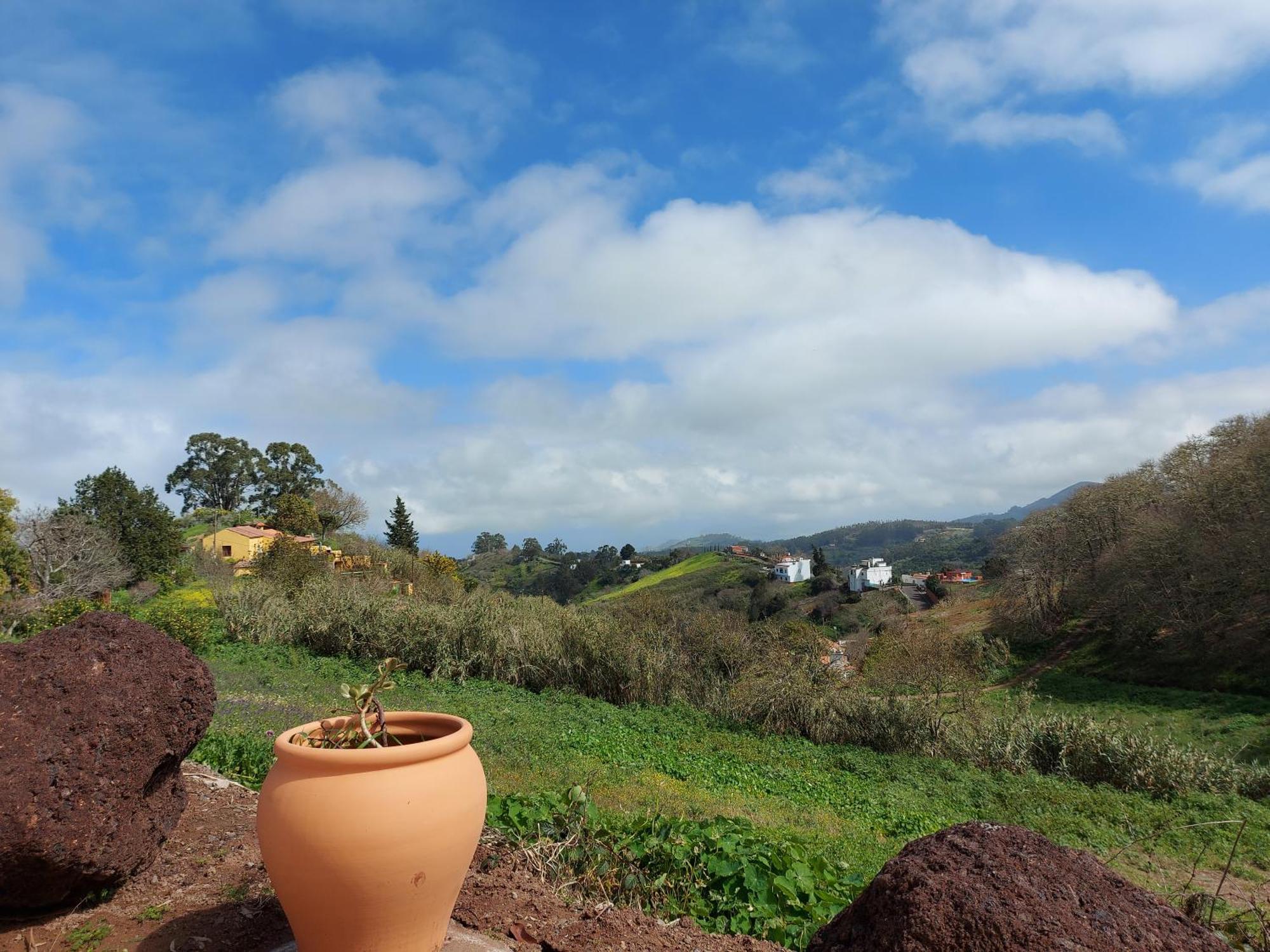 Finca Naturacanaria Moya  Екстер'єр фото
