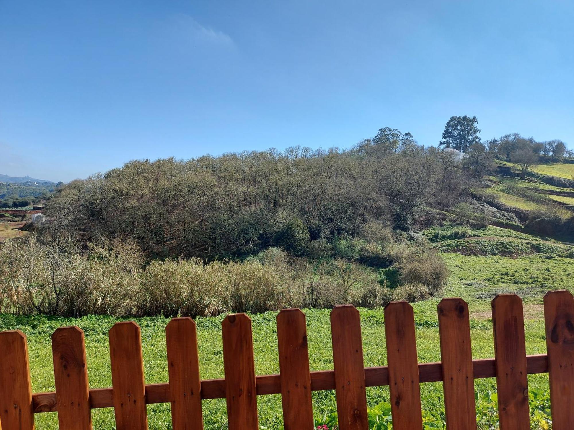 Finca Naturacanaria Moya  Екстер'єр фото
