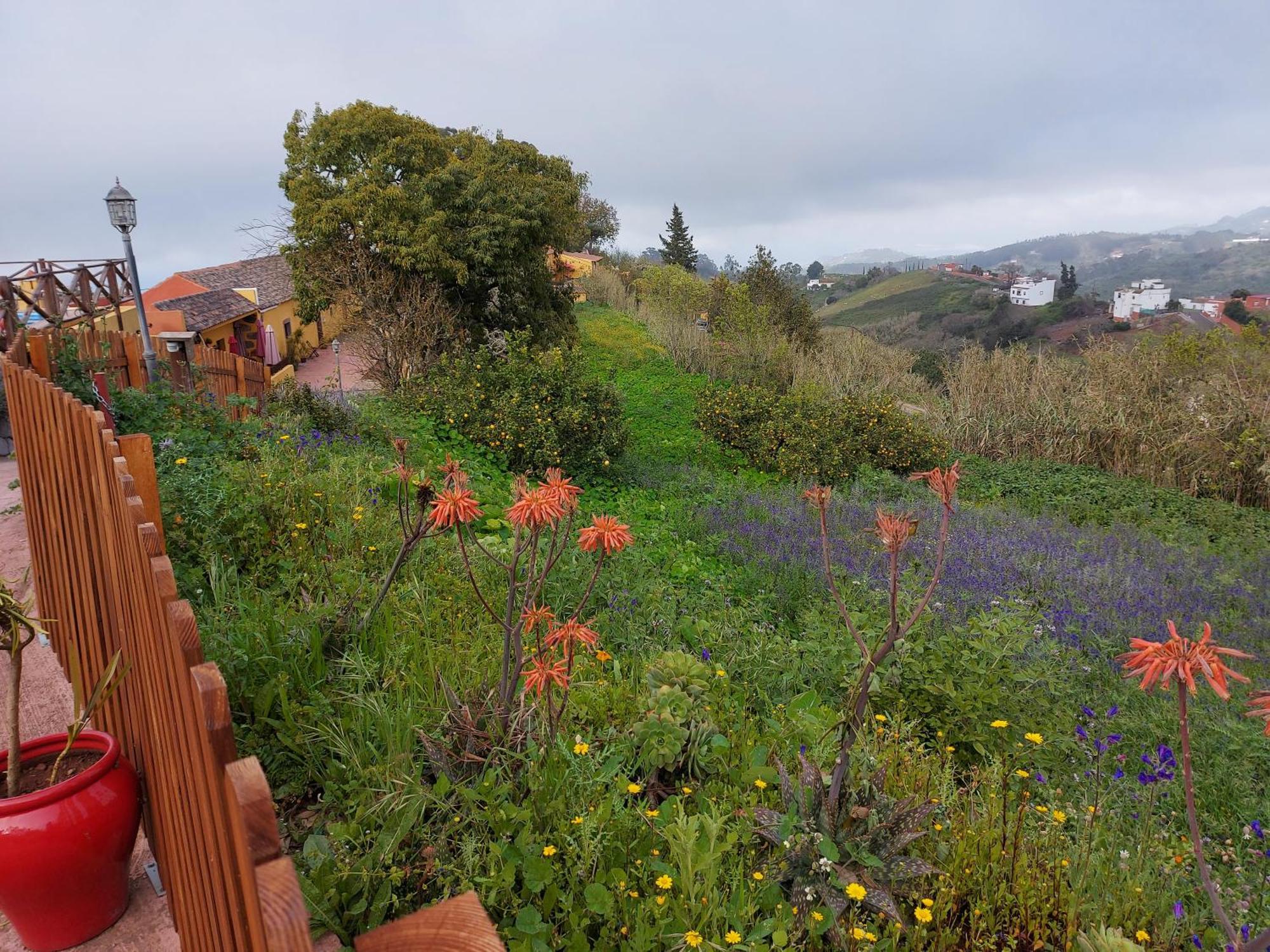 Finca Naturacanaria Moya  Екстер'єр фото