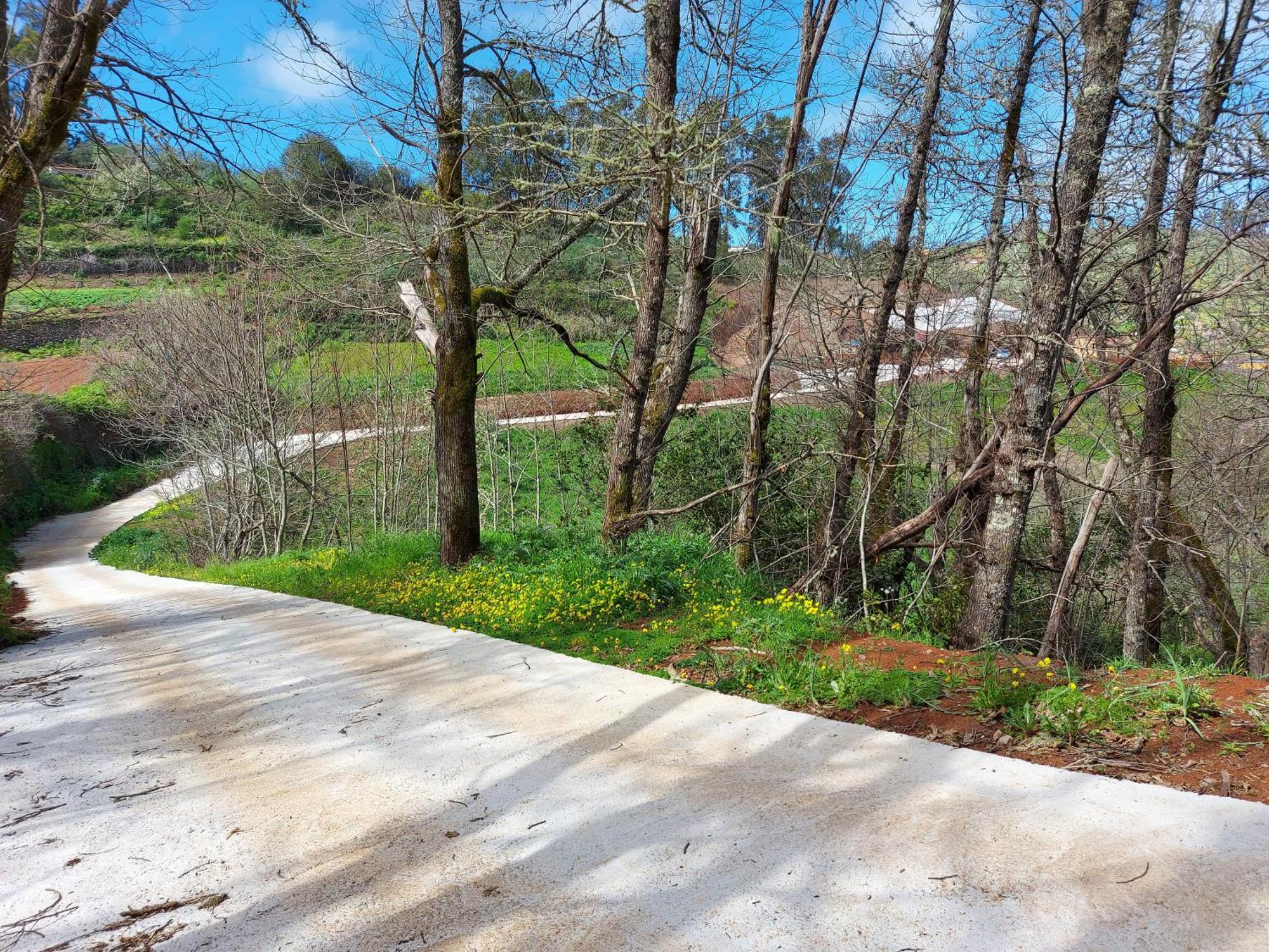 Finca Naturacanaria Moya  Екстер'єр фото