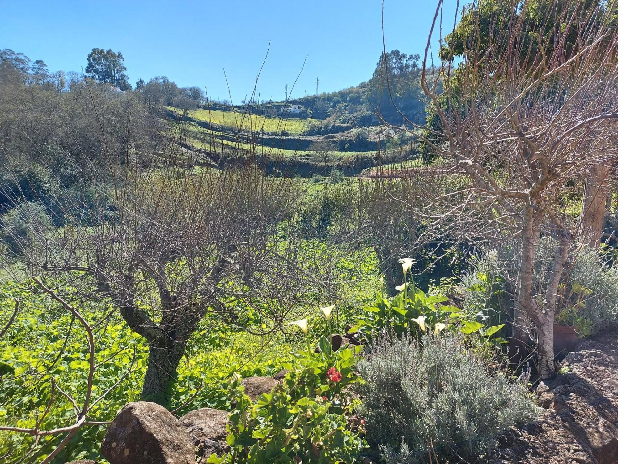 Finca Naturacanaria Moya  Екстер'єр фото